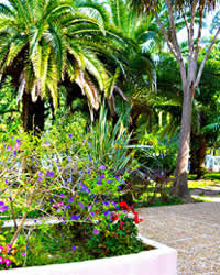 Location de vacances en Corse U Valledoro 